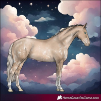 Horse Color:Chocolate Palomino Pearl Sabino Varnish Rabicano  and Chocolate Palomino Pearl Sabino Tobiano Varnish Rabicano 