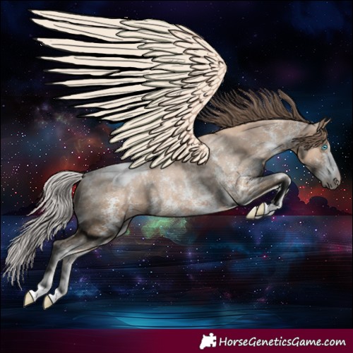 Horse Color:Chocolate Palomino Pearl Sabino Varnish Rabicano  and Chocolate Palomino Pearl Sabino Varnish Rabicano 