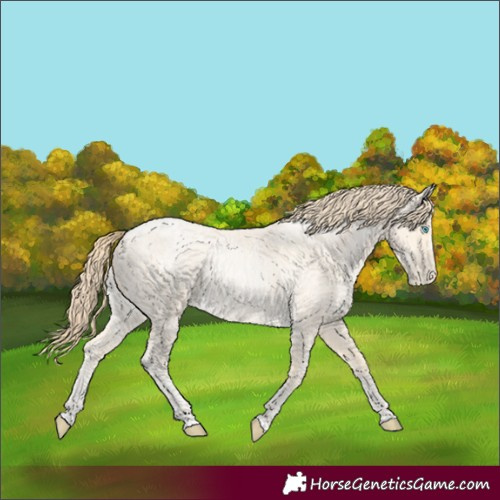 Horse Color:Buckskin Roan Pearl and Buckskin Roan Pearl