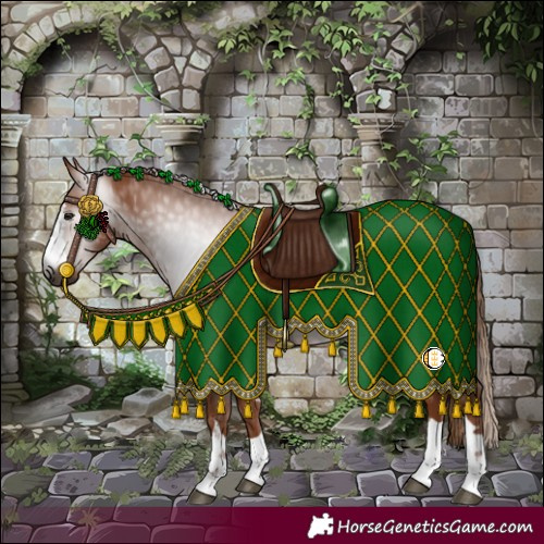 Horse Color:Gray Chestnut 