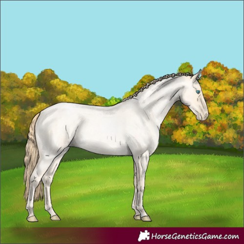 Horse Color:Buckskin Roan Pearl and Buckskin Roan Pearl