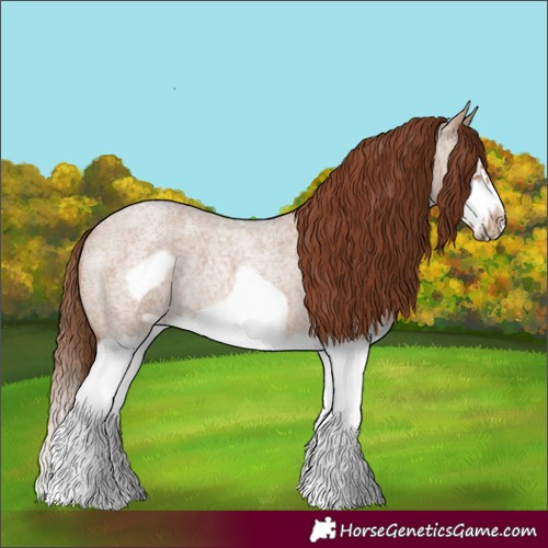 Horse Color:Red Dun Roan Splash Frame Rabicano