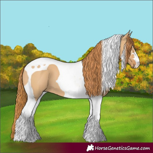 Horse Color:Red Dun Tobiano 