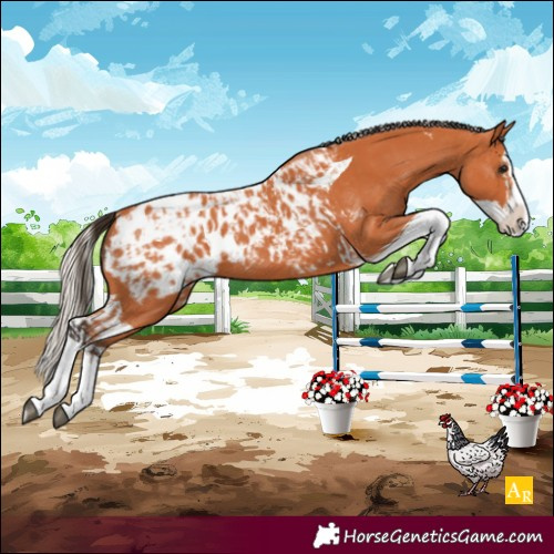 Horse Color:Unknown 