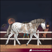 Horse Color:Liver Chestnut Sabino Splash Blanket  and Chocolate Palomino Sabino Splash Blanket 