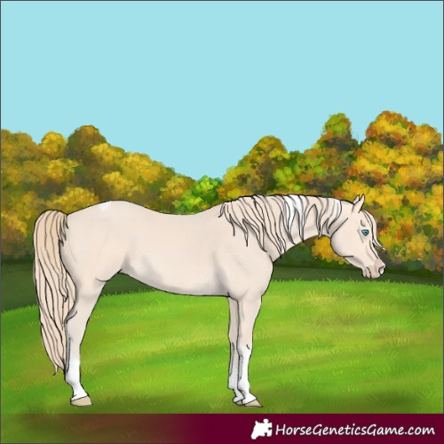 Horse Color:Perlino Tobiano Frame