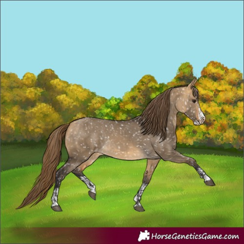 Horse Color:Buckskin Dun Snowflake Varnish  and Buckskin Dun Splash Snowflake Varnish 