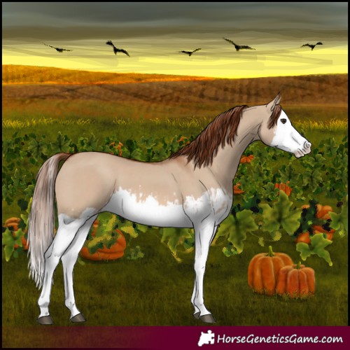 Horse Color:Red Dun Splash  and Red Dun Splash 