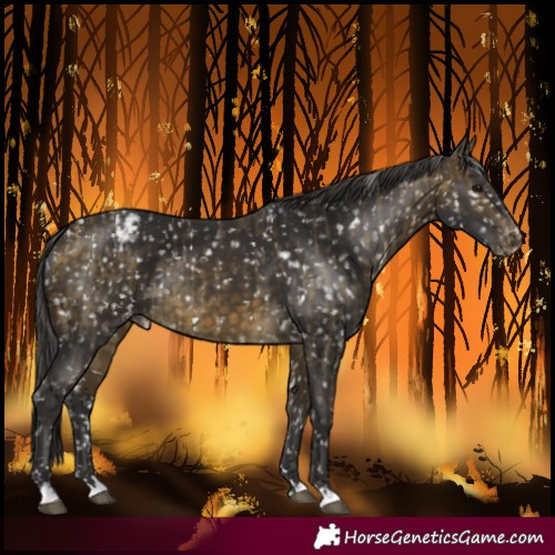 Horse Color:Buckskin Dun Snowflake Varnish  and Buckskin Snowflake Varnish 