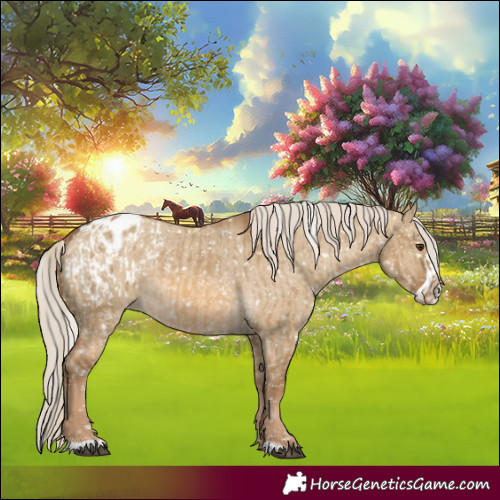 Horse Color:Chocolate Palomino Dun Blanket  and Chocolate Palomino Dun Frame Blanket 