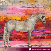 Horse Color:Chocolate Palomino Dun Snowflake Varnish and Gray Chocolate Palomino Dun Snowflake Varnish