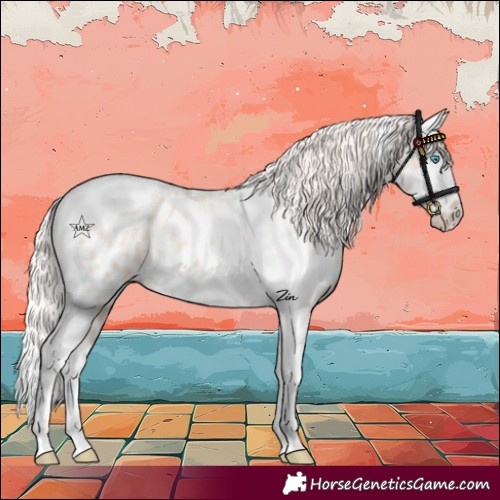 Horse Color:Silver Amber Champagne Roan Dun Splash Tobiano Frame Appaloosa Rabicano 