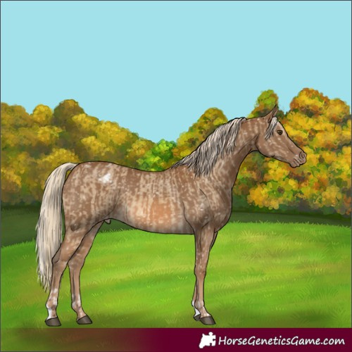 Horse Color:Chocolate Palomino Dun Snowflake Varnish  and Chocolate Palomino Snowflake Varnish 