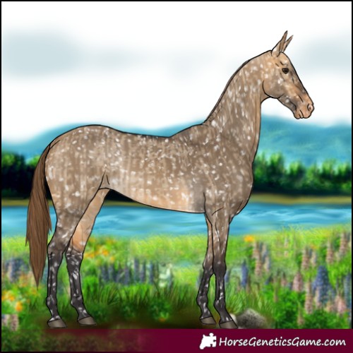 Horse Color:Buckskin Dun Snowflake Varnish  and Buckskin Dun Snowflake Varnish 