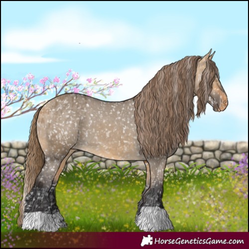 Horse Color:Buckskin Dun Snowflake Varnish  and Buckskin Dun Snowflake Varnish 