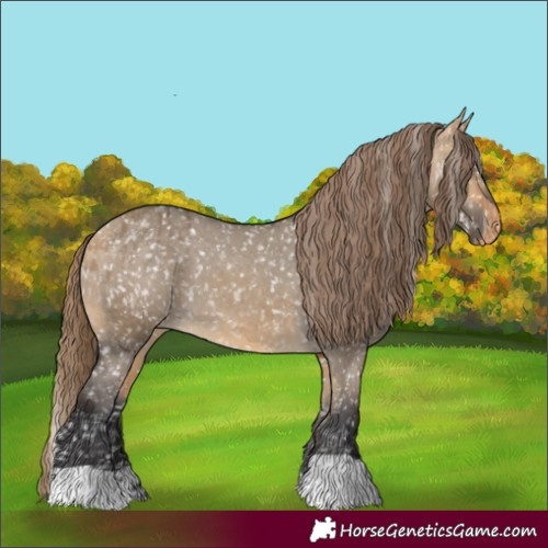 Horse Color:Buckskin Dun Appaloosa  and Buckskin Dun Appaloosa 