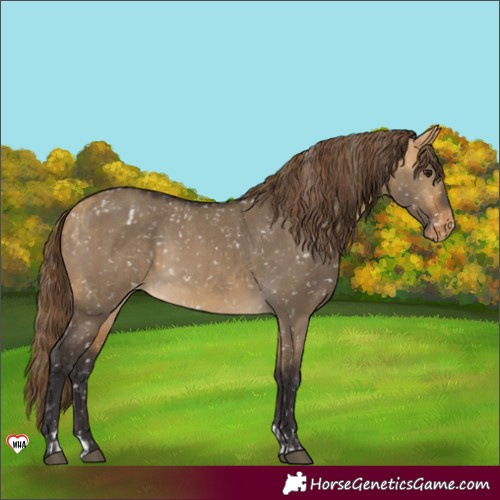Horse Color:Buckskin Dun Snowflake Varnish  and Buckskin Dun Snowflake Varnish Rabicano 