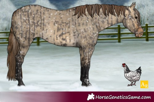 Horse Color:Smoky Grullo Snowflake Varnish  and Buckskin Dun Snowflake Varnish 
