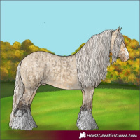 Horse Color:Buckskin Dun Snowflake Varnish  and Silver Buckskin Dun Snowflake Varnish 