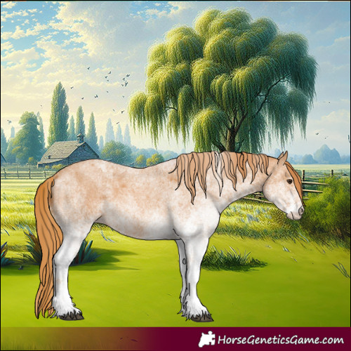 Horse Color:White Spotted Red Roan 