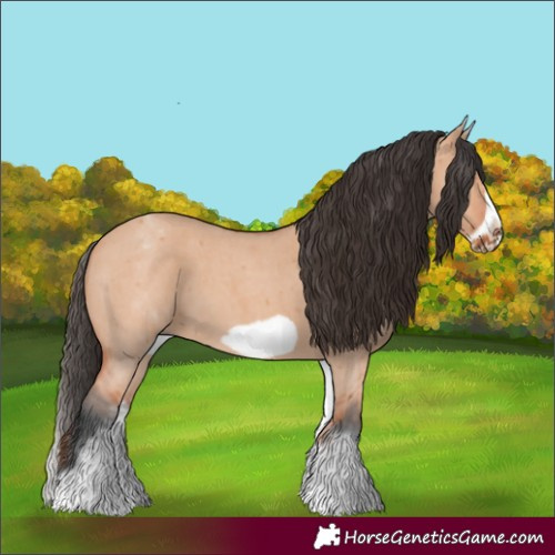Horse Color:White Spotted Bay Dun Sabino Frame 