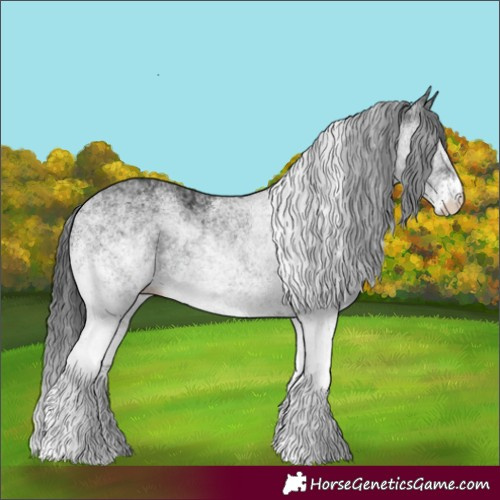 Horse Color:White Spotted Black 