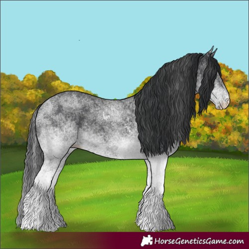 Horse Color:White Spotted Black 