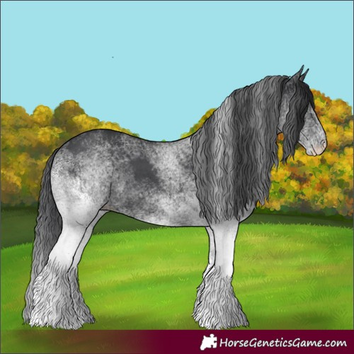 Horse Color:White Spotted Black