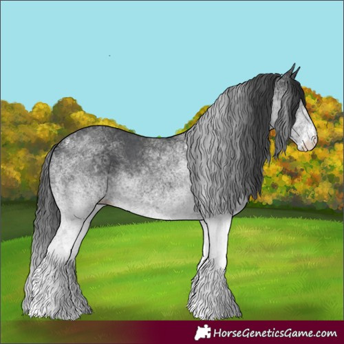 Horse Color:White Spotted Black