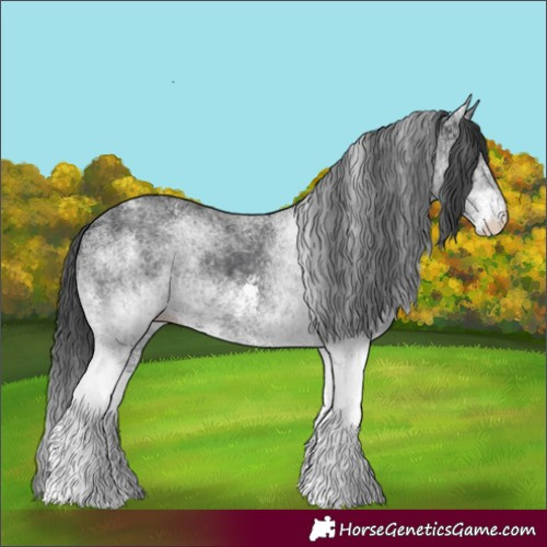 Horse Color:White Spotted Black 