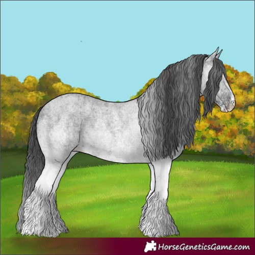 Horse Color:White Spotted Blue Roan 