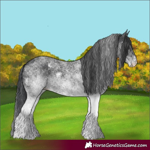 Horse Color:White Spotted Black 