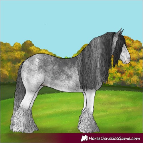 Horse Color:White Spotted Black