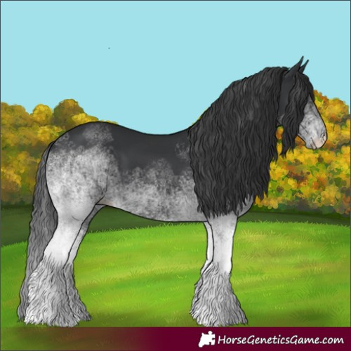 Horse Color:White Spotted Black 