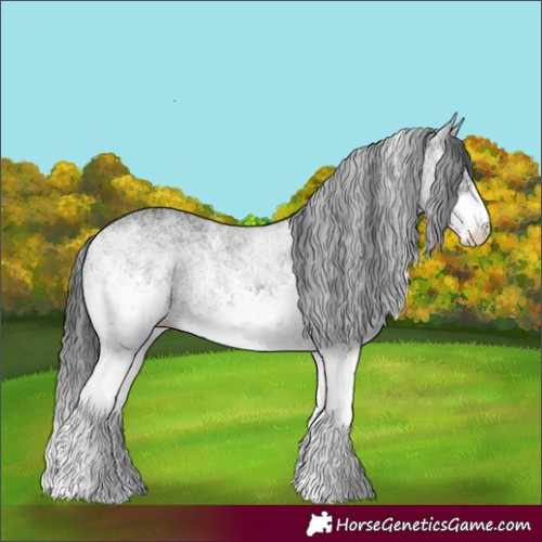 Horse Color:White Spotted Black 