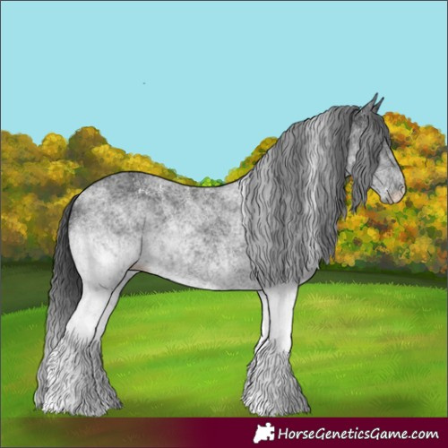 Horse Color:White Spotted Black 