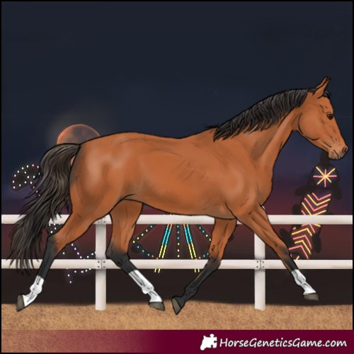 Horse Color:Bay 