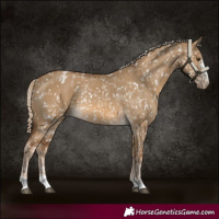 Horse Color:Chocolate Palomino Dun Blanket  and Chocolate Palomino Dun Blanket Rabicano 