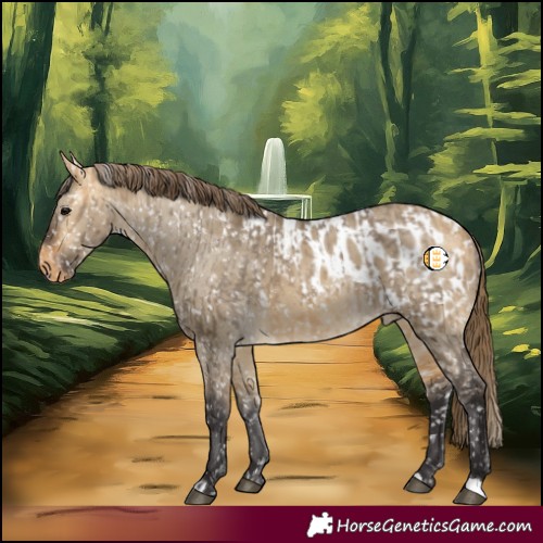 Horse Color:Buckskin Dun Snowflake Varnish  and Buckskin Dun Blanket 