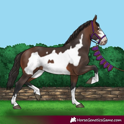 Horse Color:Brown Frame