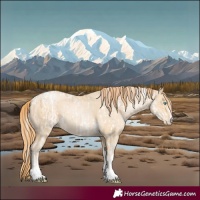 Horse Color:Chocolate Palomino Pearl Sabino Appaloosa Rabicano and Buckskin Pearl Sabino Tobiano Appaloosa Rabicano