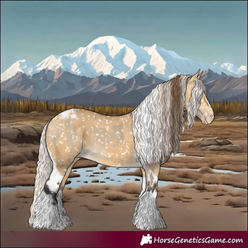 Horse Color:Buckskin Dun Snowflake Varnish and Silver Buckskin Dun Tobiano Snowflake Varnish
