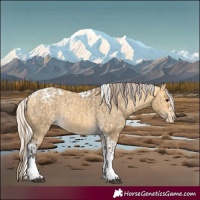 Horse Color:Buckskin Dun Appaloosa and Silver Buckskin Dun Tobiano Appaloosa