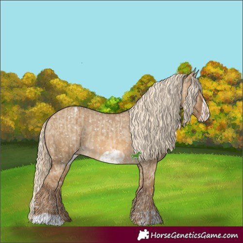 Horse Color:Chocolate Palomino Dun Appaloosa  and Chocolate Palomino Dun Frame Appaloosa 