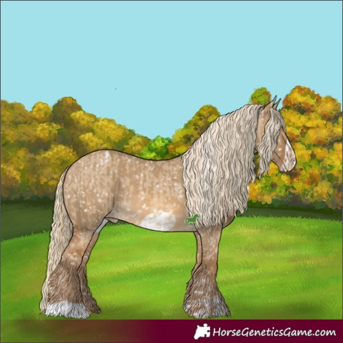 Horse Color:Chocolate Palomino Dun Blanket and Chocolate Palomino Dun Frame Blanket
