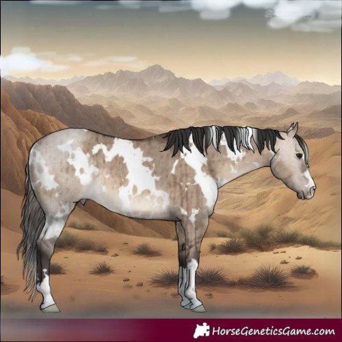 Horse Color:White Spotted Brown Dun Rabicano Brindle 