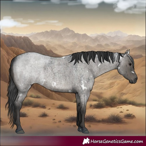 Horse Color:Platinum White Spotted Grullo Roan Rabicano Brindle