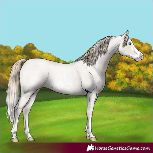 Horse Color:Smoky Creme Roan Sabino Splash and Smoky Creme Roan Sabino Splash Frame