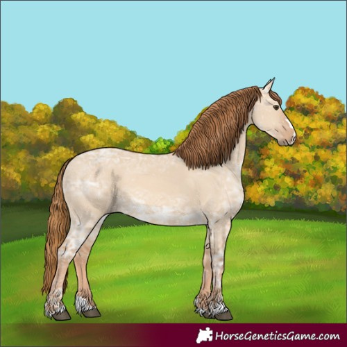 Horse Color:Red Dun Ice