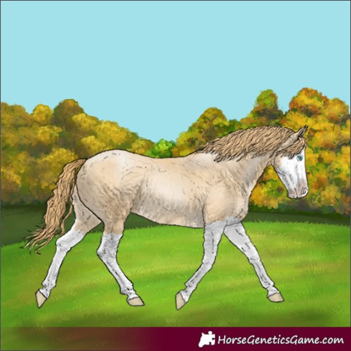 Horse Color:Smoky Black Pearl Splash 